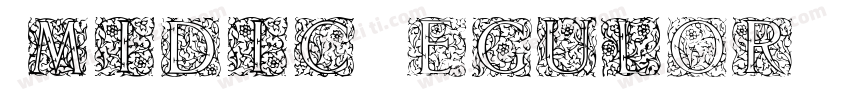 Amidic Regulor字体转换